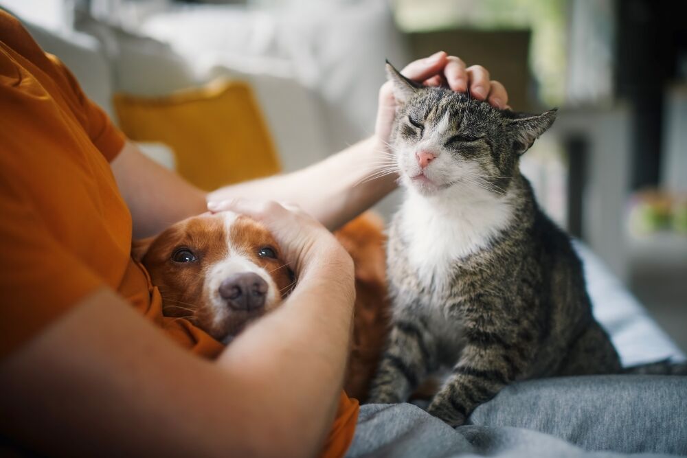 pet parent with cat and dog